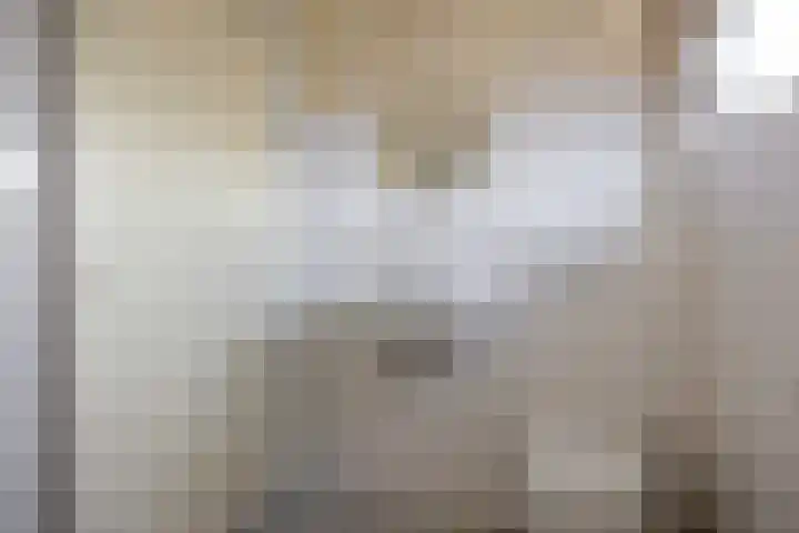 Pastorielaan 1 A Zuidwolde thumbnail 36