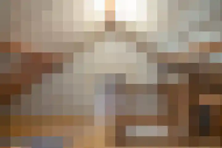Pastorielaan 1 A Zuidwolde thumbnail 37