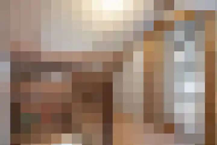 Pastorielaan 1 A Zuidwolde thumbnail 38