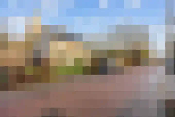 Pastorielaan 1 A Zuidwolde thumbnail 4