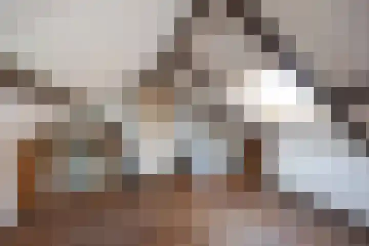 Pastorielaan 1 A Zuidwolde thumbnail 40