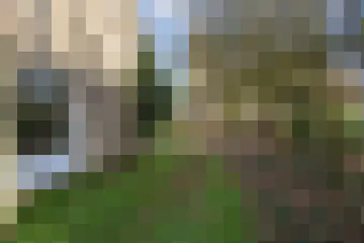 Pastorielaan 1 A Zuidwolde thumbnail 41