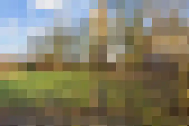 Pastorielaan 1 A Zuidwolde thumbnail 42