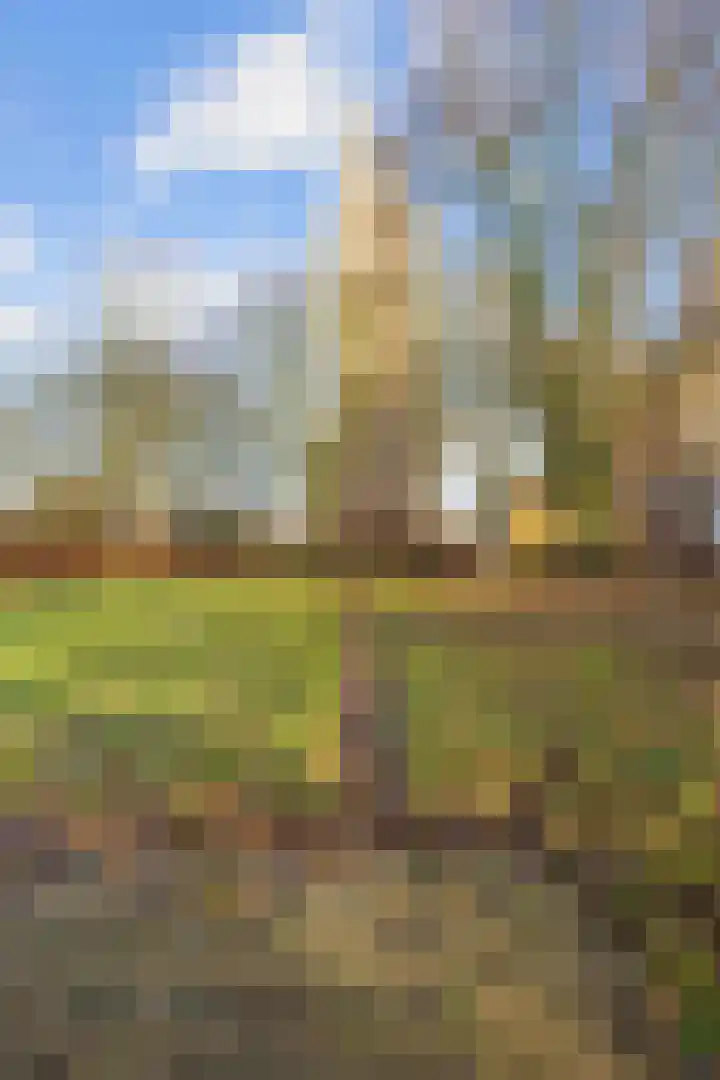 Pastorielaan 1 A Zuidwolde thumbnail 43