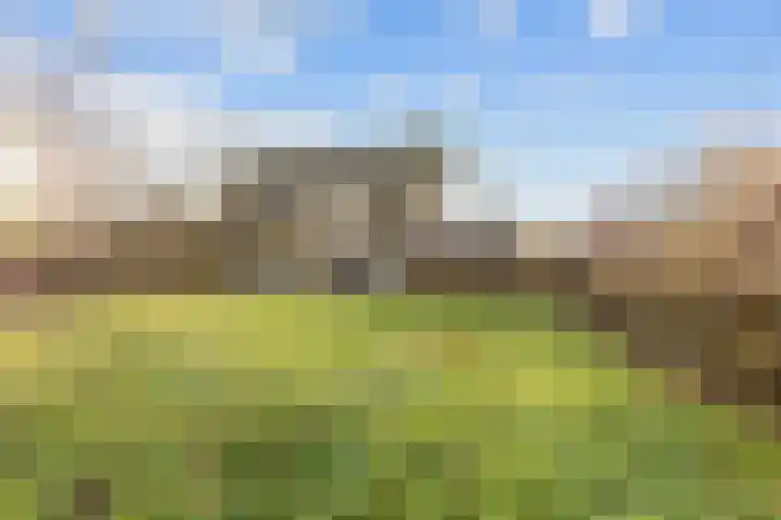 Pastorielaan 1 A Zuidwolde thumbnail 45