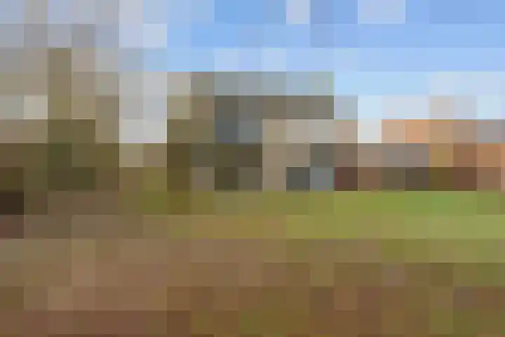 Pastorielaan 1 A Zuidwolde thumbnail 46