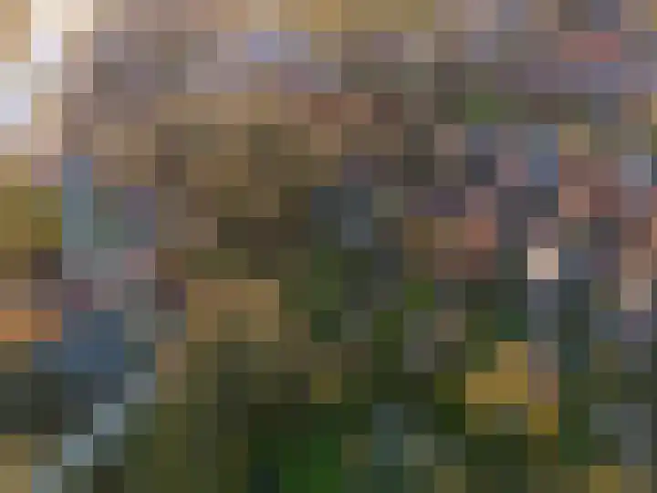 Pastorielaan 1 A Zuidwolde thumbnail 52