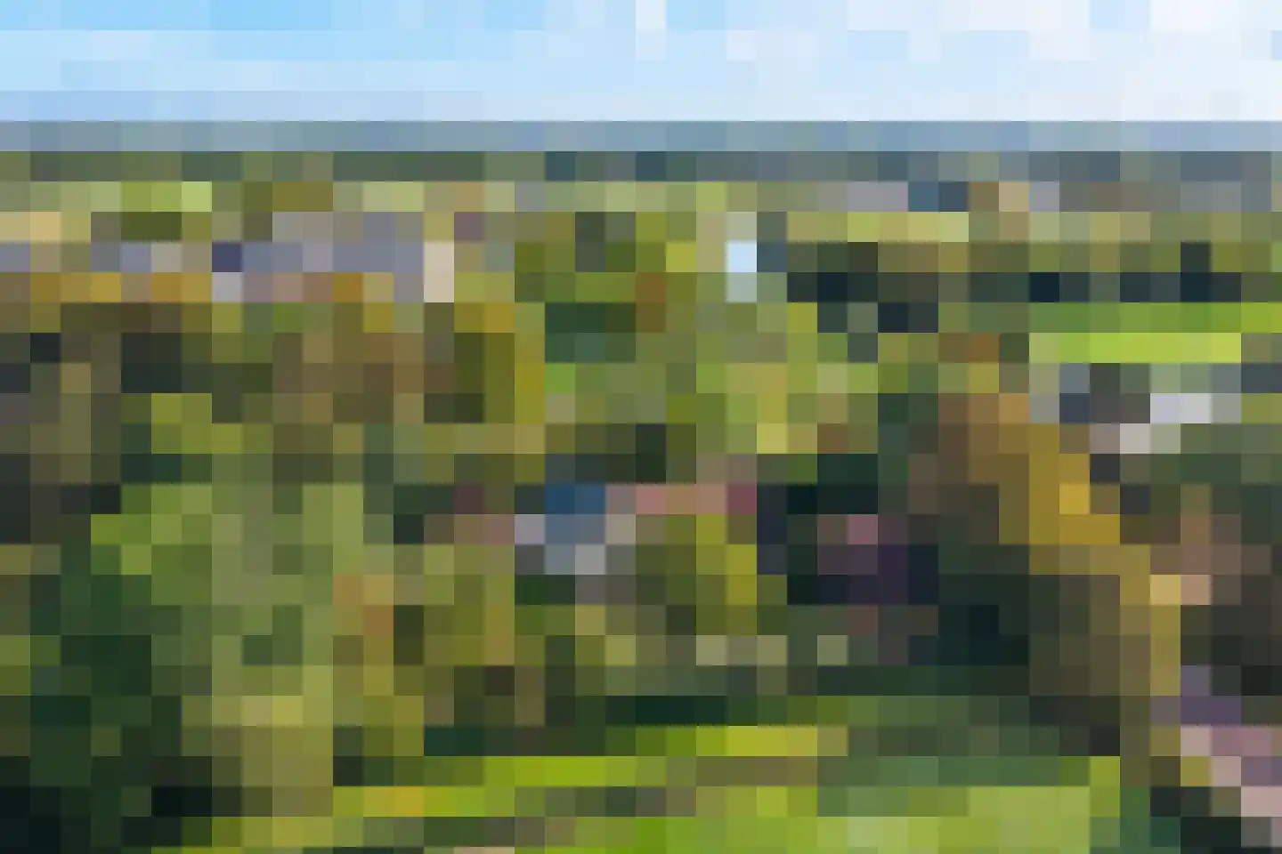 Pastorielaan 1 Appingedam thumbnail 14