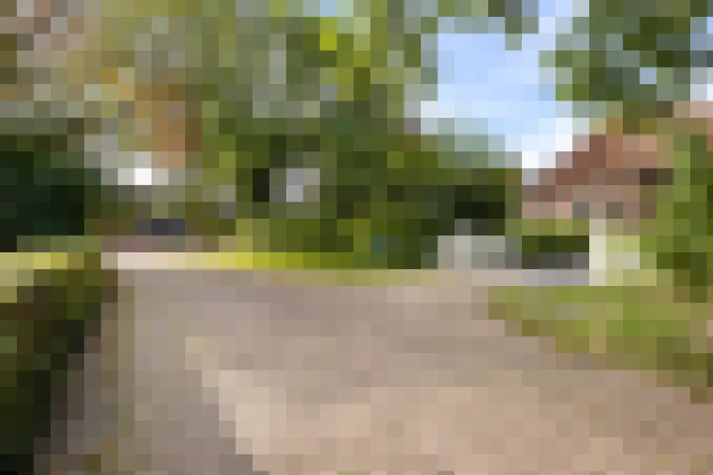 Pastorielaan 1 Appingedam thumbnail 16