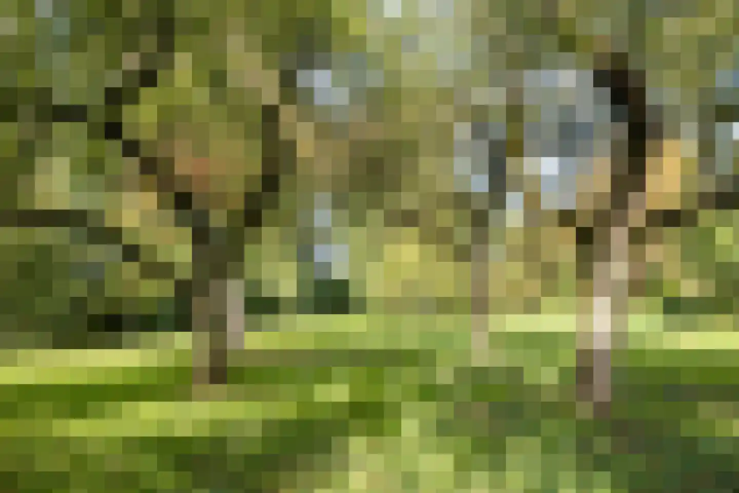 Pastorielaan 1 Appingedam thumbnail 22