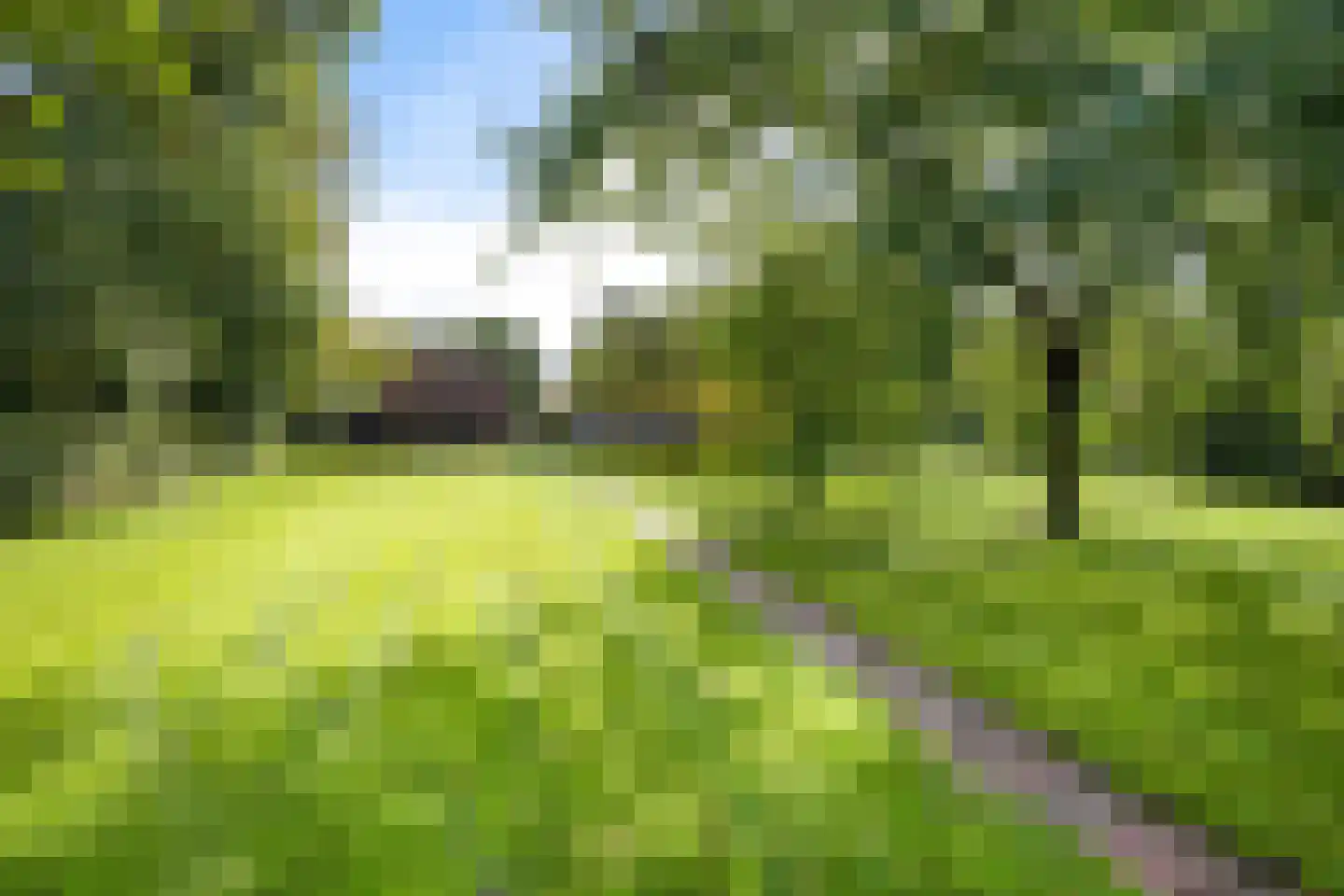 Pastorielaan 1 Appingedam thumbnail 23