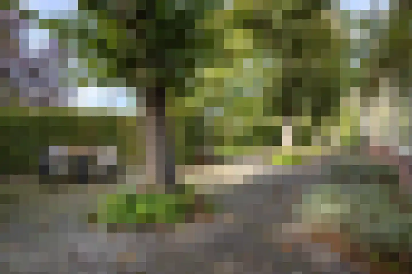 Pastorielaan 1 Appingedam thumbnail 27
