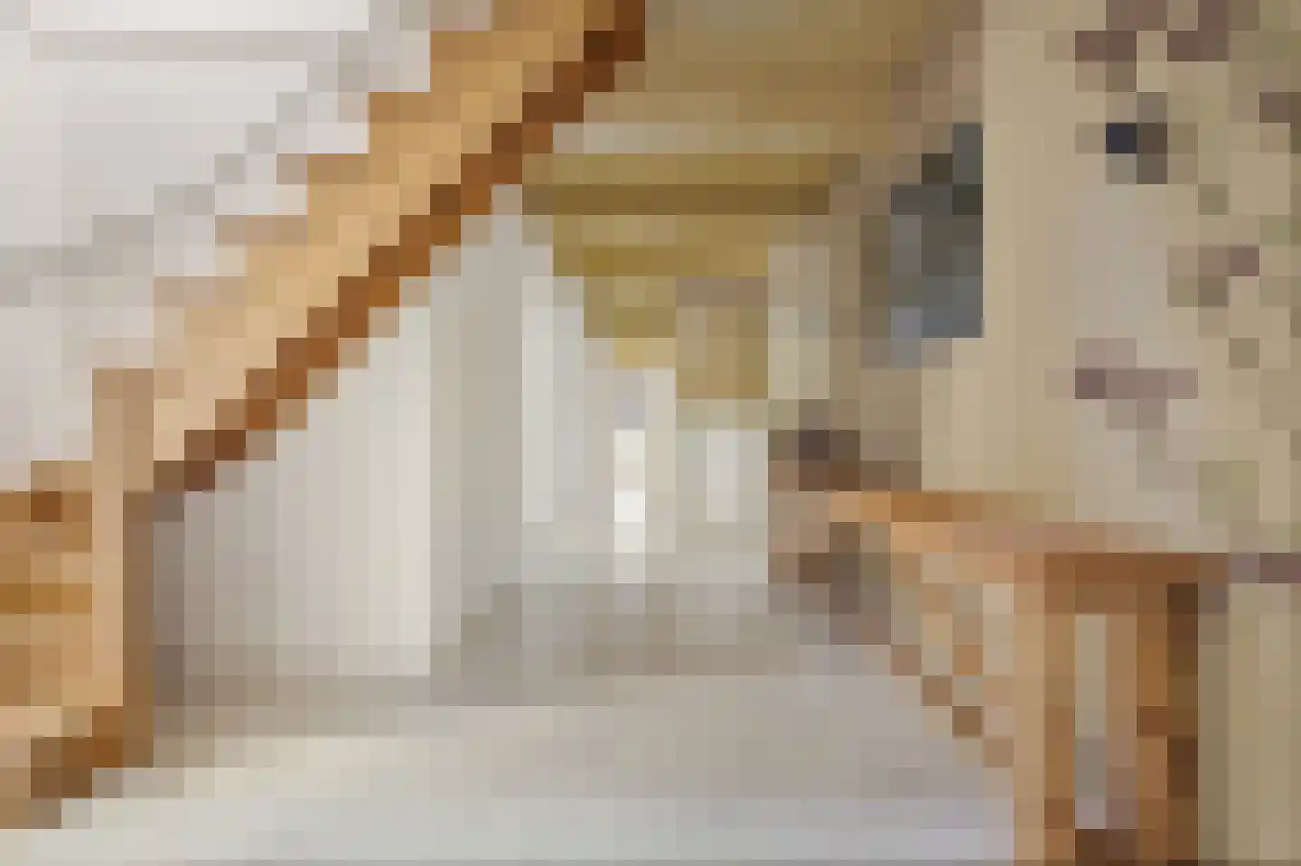Pastorielaan 1 Appingedam thumbnail 34
