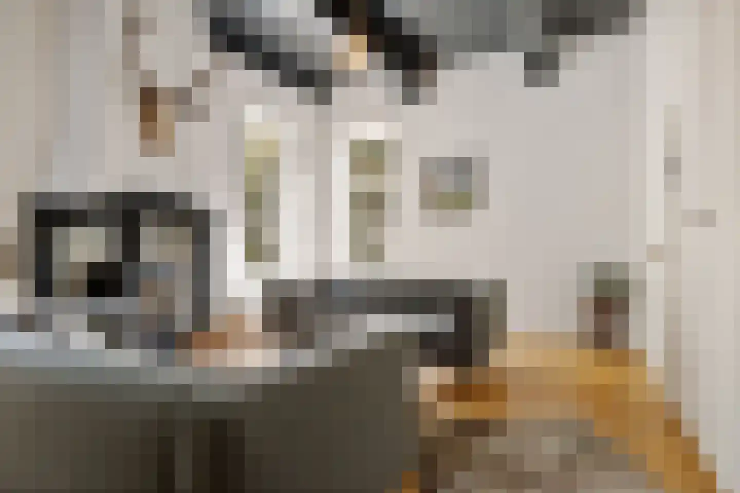 Pastorielaan 1 Appingedam thumbnail 35