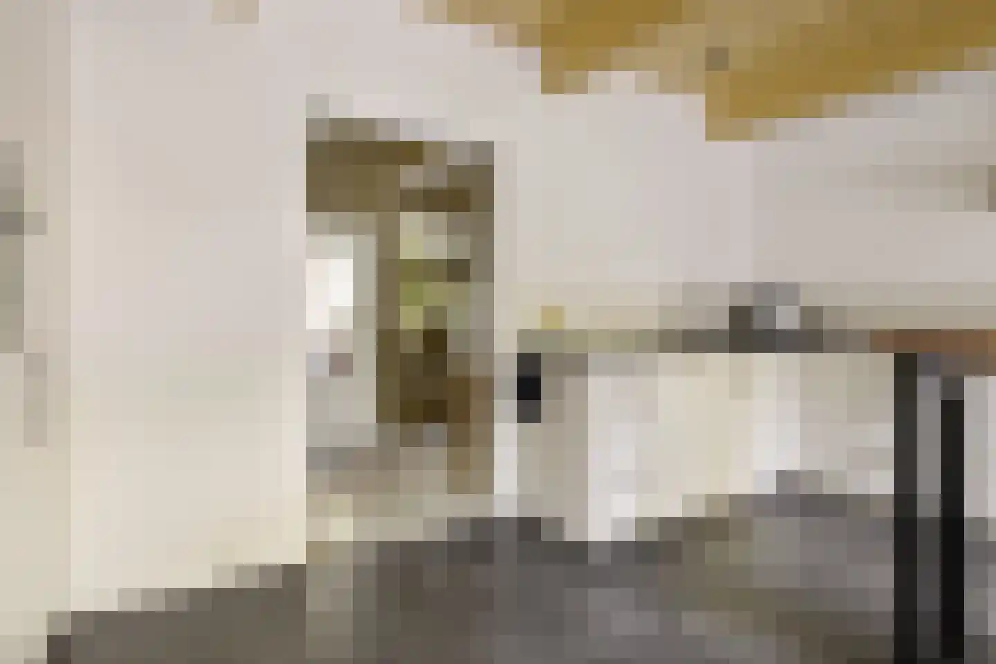 Pastorielaan 1 Appingedam thumbnail 50
