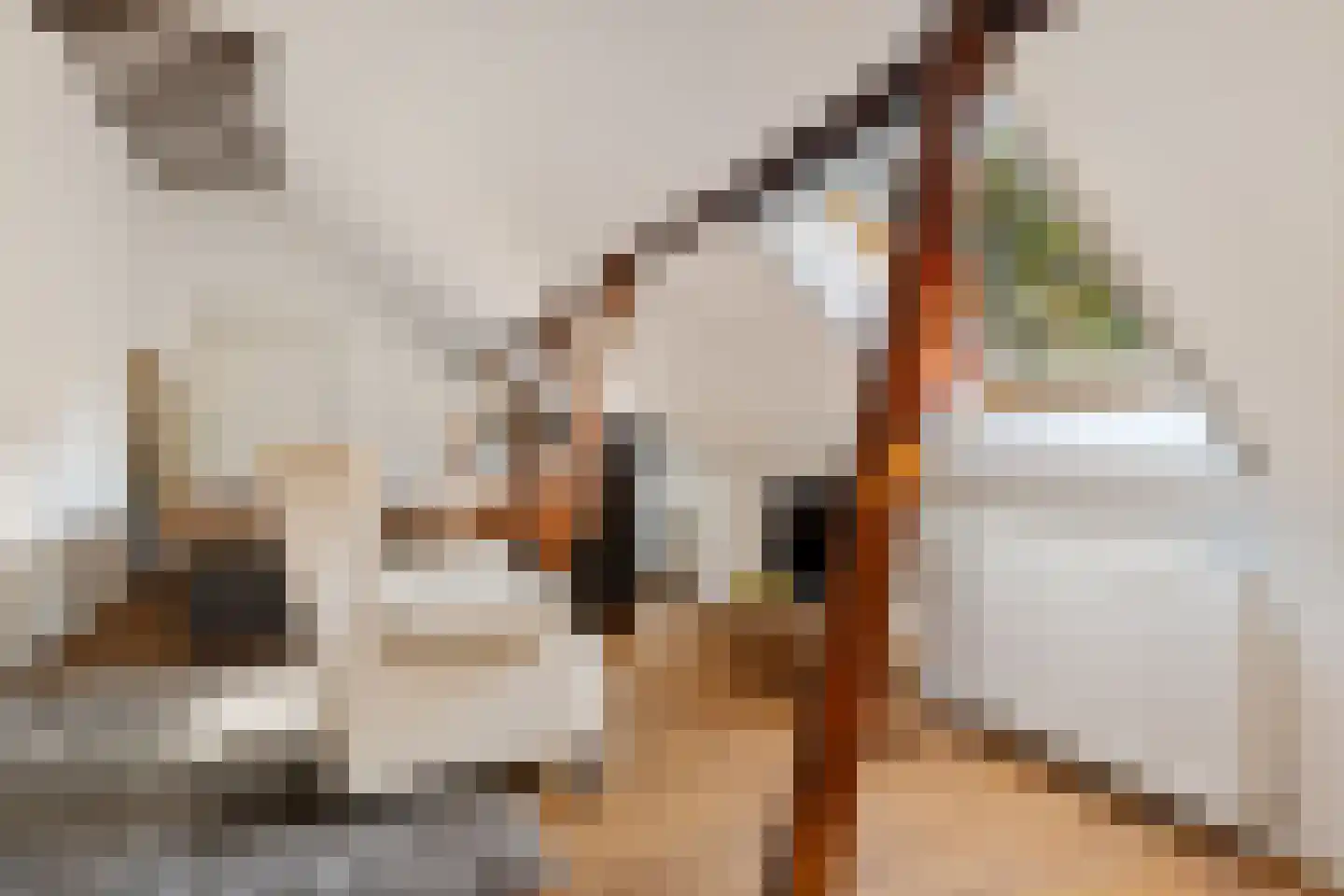 Pastorielaan 1 Appingedam thumbnail 67