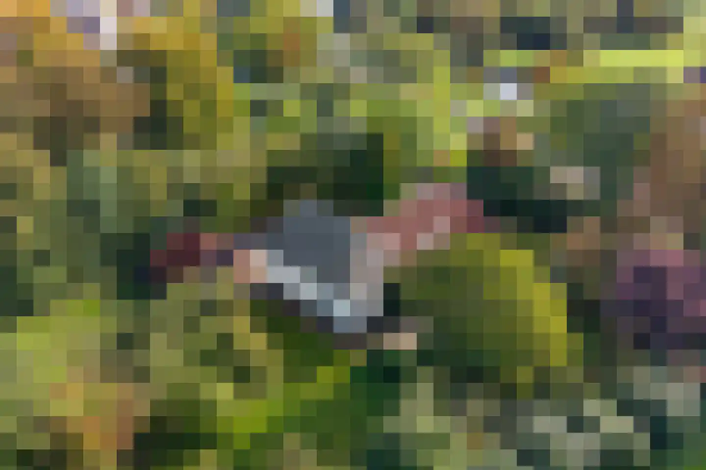 Pastorielaan 1 Appingedam thumbnail 9