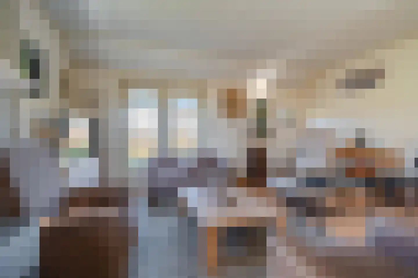 Pastorielaan 1 Vriescheloo thumbnail 11