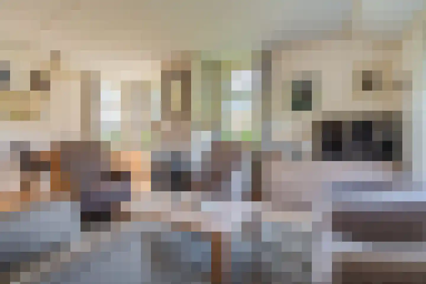 Pastorielaan 1 Vriescheloo thumbnail 12