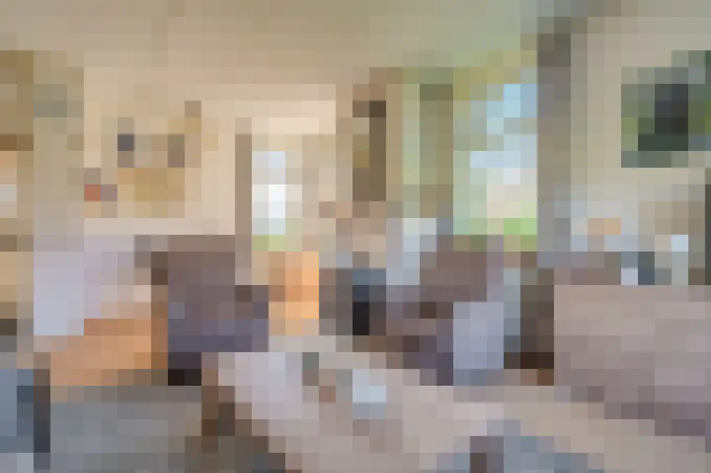 Pastorielaan 1 Vriescheloo thumbnail 13