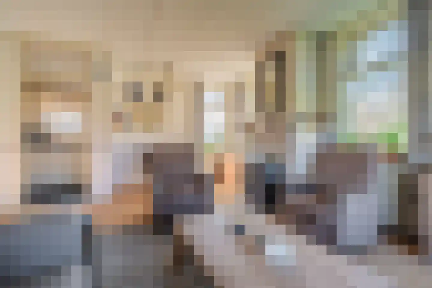 Pastorielaan 1 Vriescheloo thumbnail 15