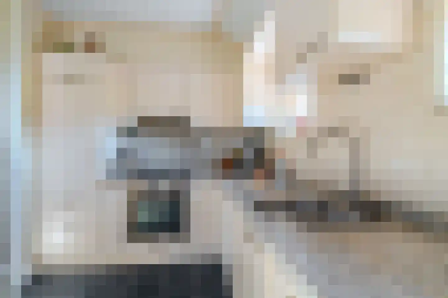 Pastorielaan 1 Vriescheloo thumbnail 17