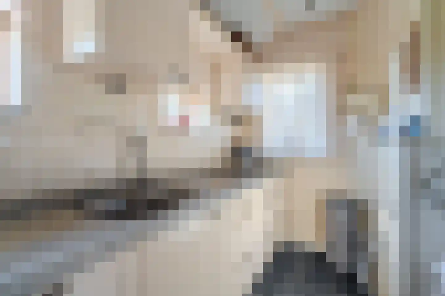 Pastorielaan 1 Vriescheloo thumbnail 18