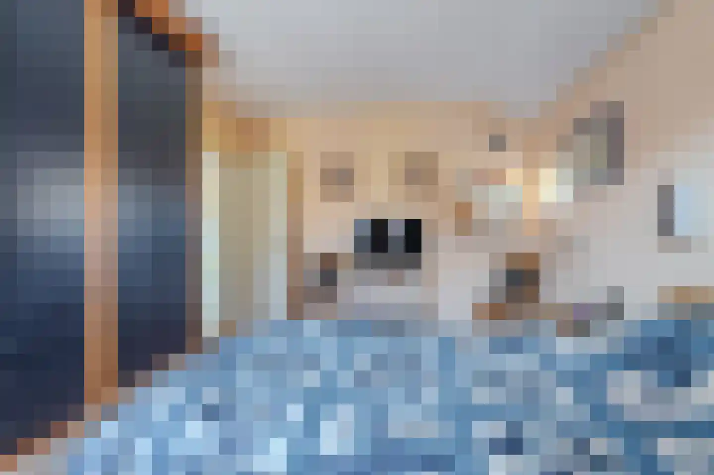 Pastorielaan 1 Vriescheloo thumbnail 27