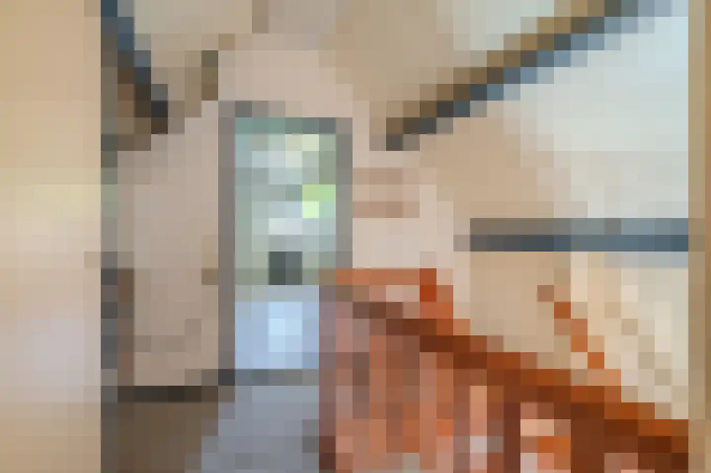 Pastorielaan 1 Vriescheloo thumbnail 30