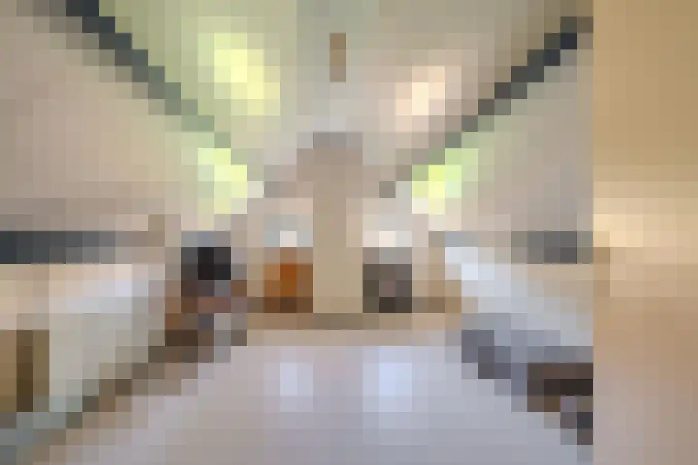 Pastorielaan 1 Vriescheloo thumbnail 31