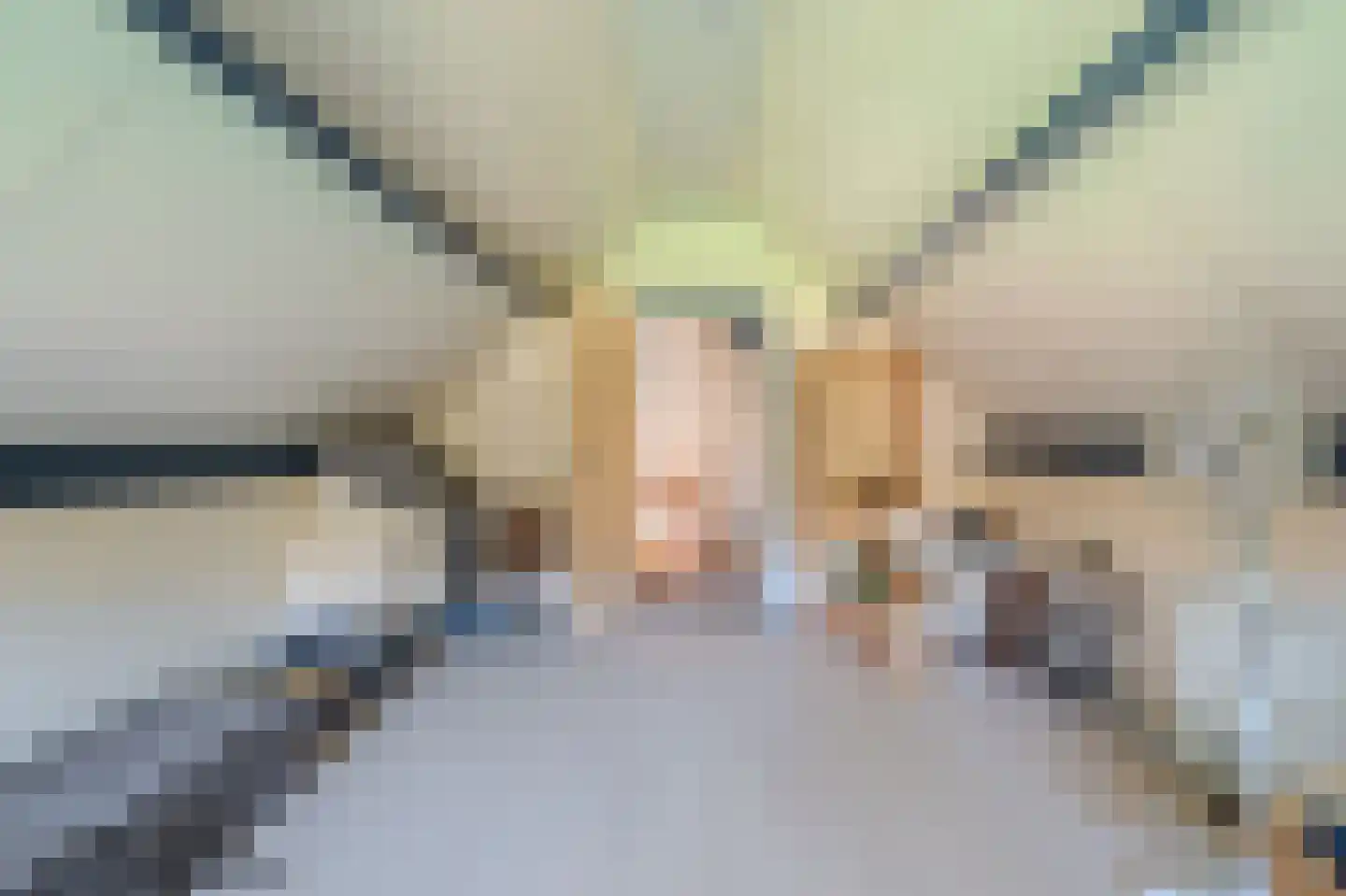 Pastorielaan 1 Vriescheloo thumbnail 32