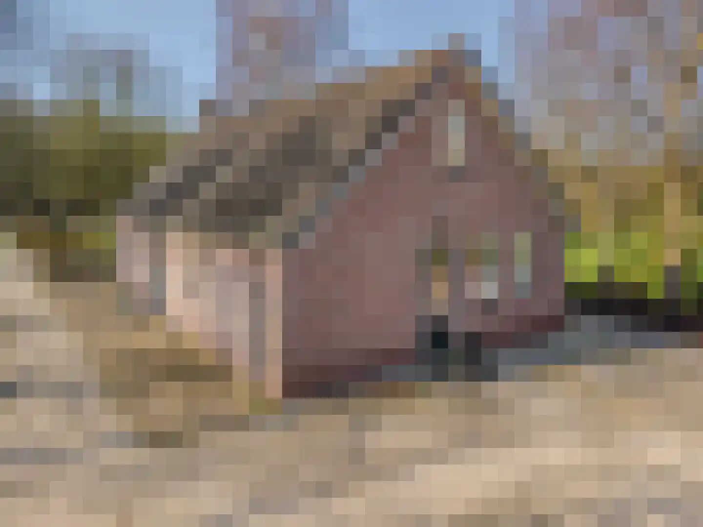 Pastorielaan 1 Vriescheloo thumbnail 37