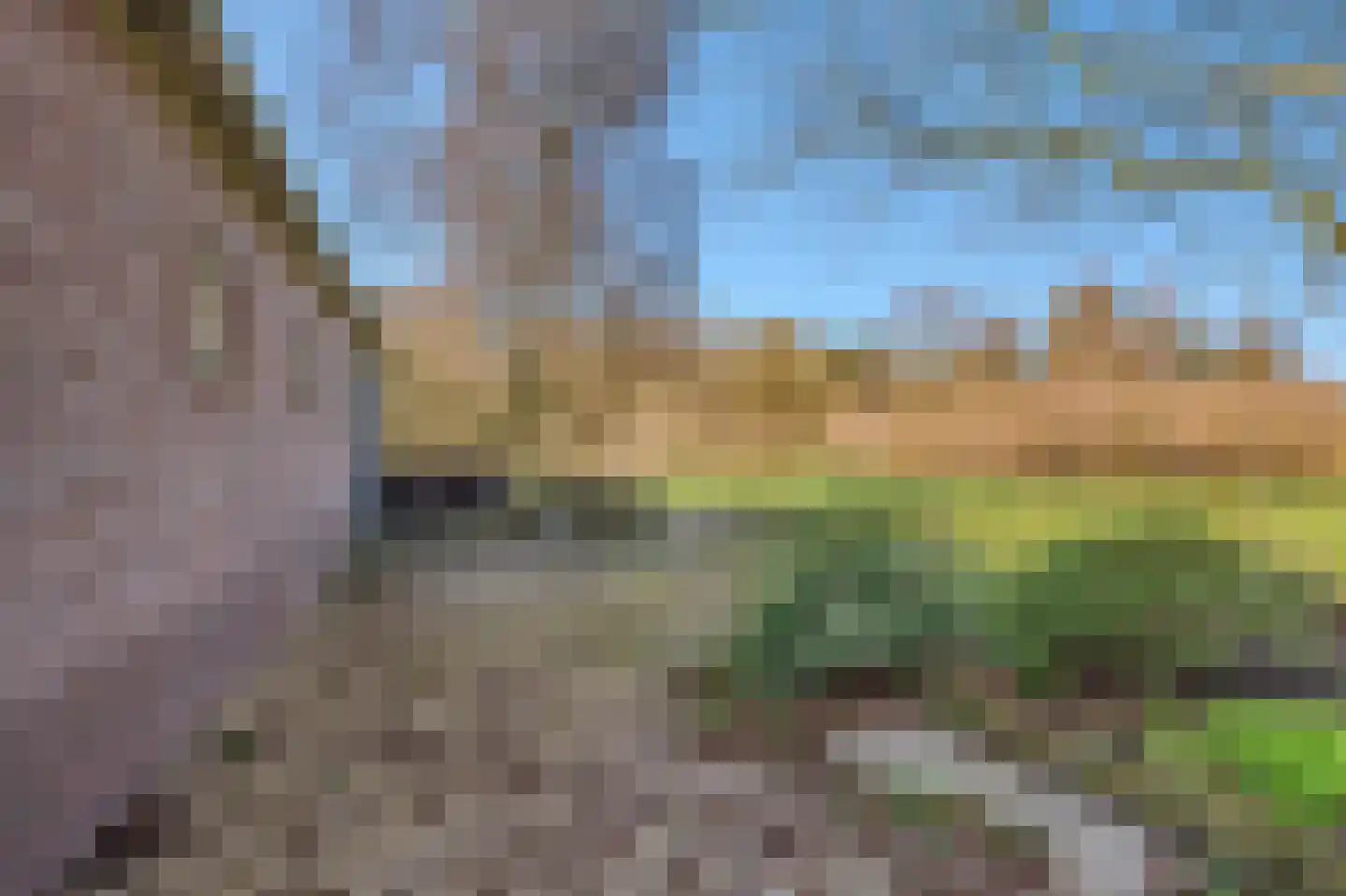 Pastorielaan 1 Vriescheloo thumbnail 39