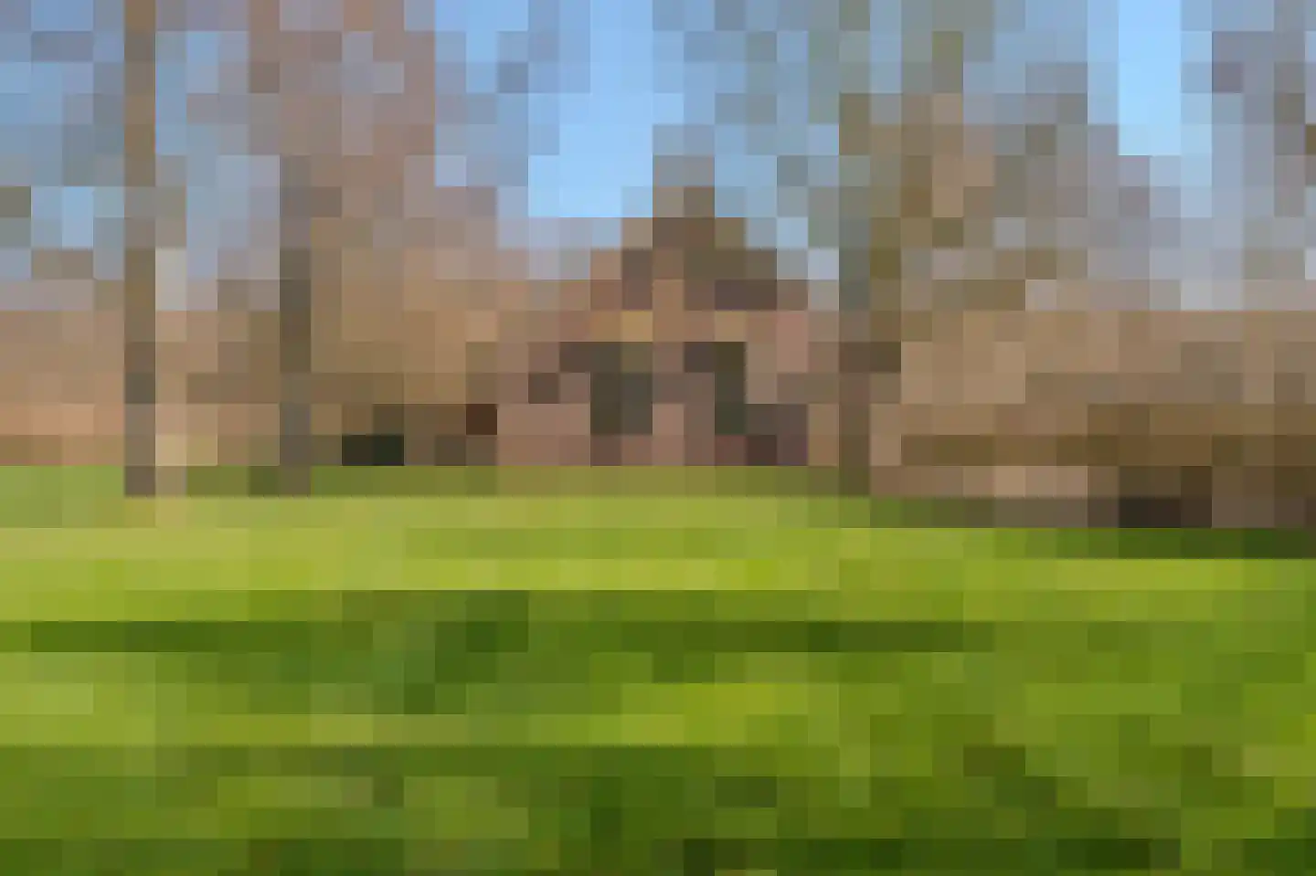Pastorielaan 1 Vriescheloo thumbnail 4