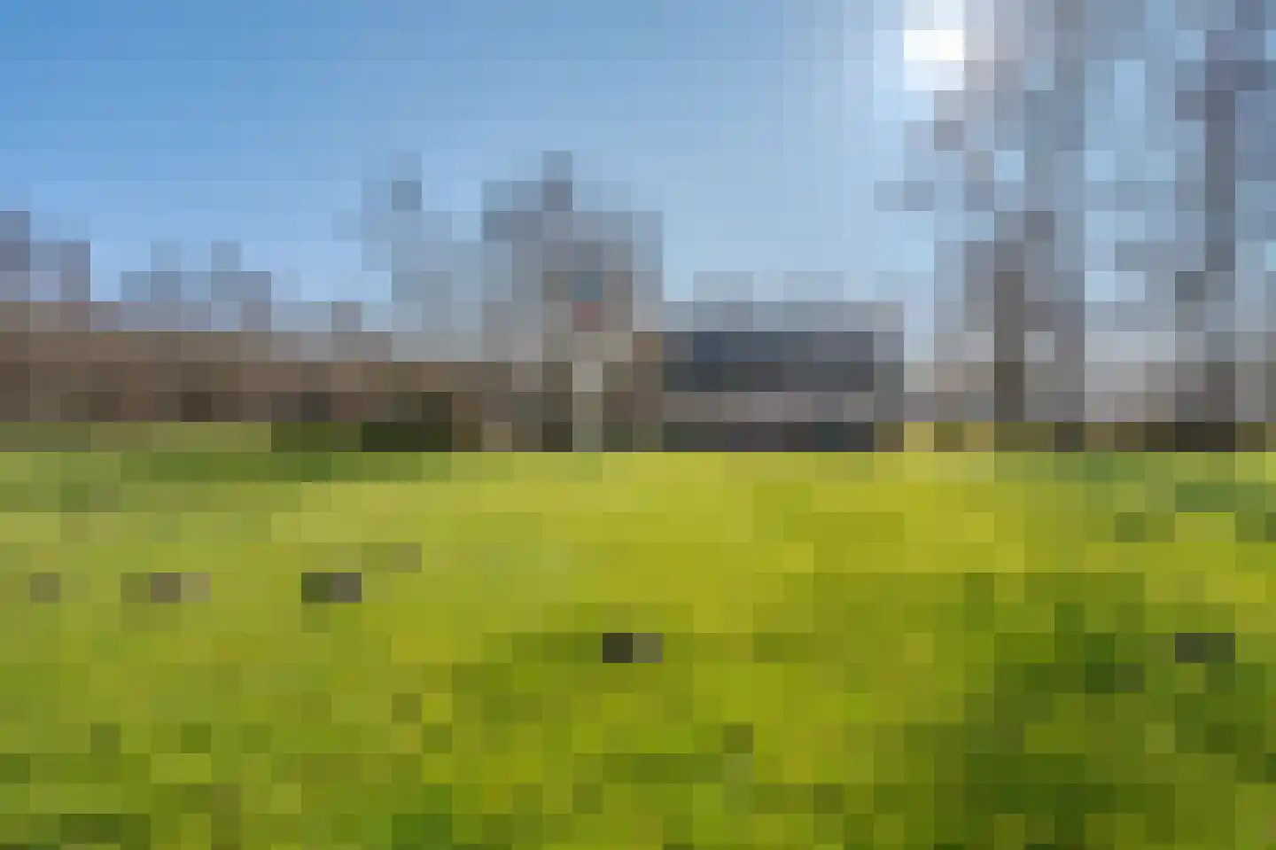 Pastorielaan 1 Vriescheloo thumbnail 42