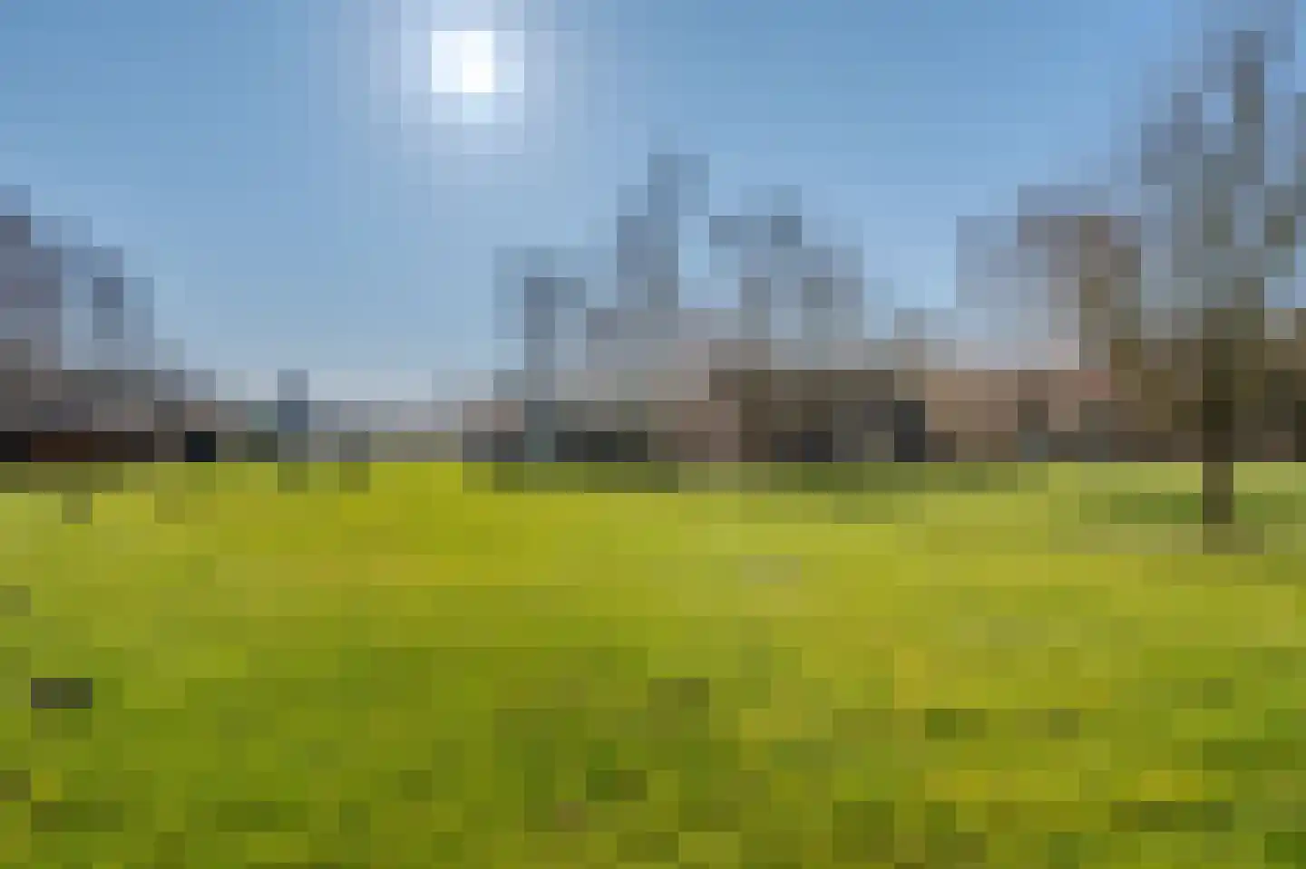Pastorielaan 1 Vriescheloo thumbnail 44