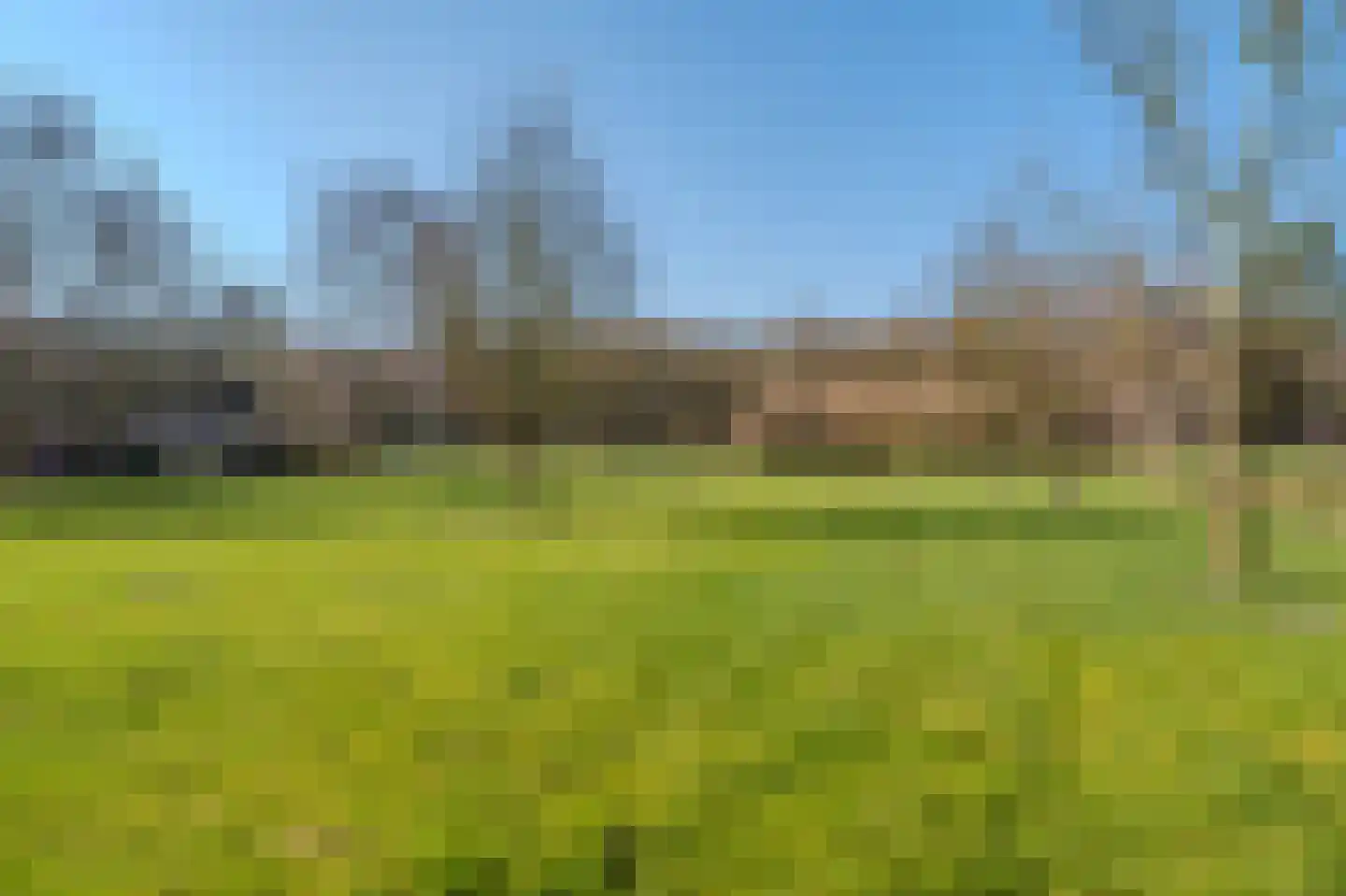 Pastorielaan 1 Vriescheloo thumbnail 46