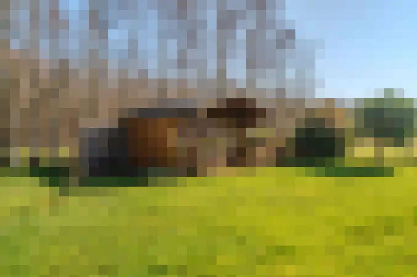 Pastorielaan 1 Vriescheloo thumbnail 49