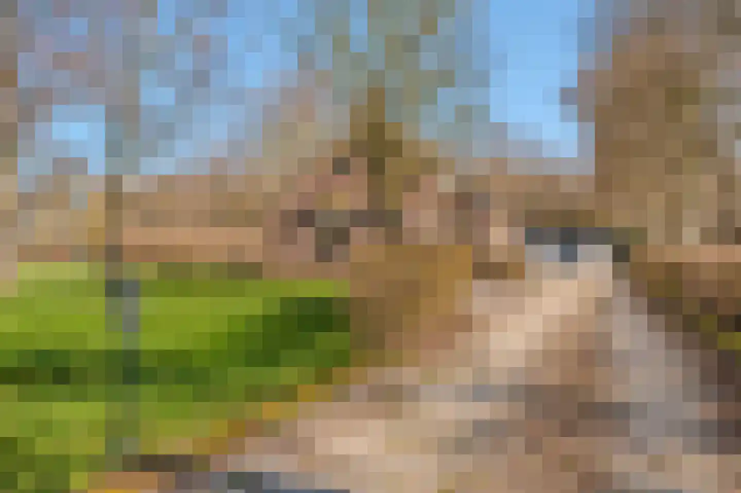 Pastorielaan 1 Vriescheloo thumbnail 5