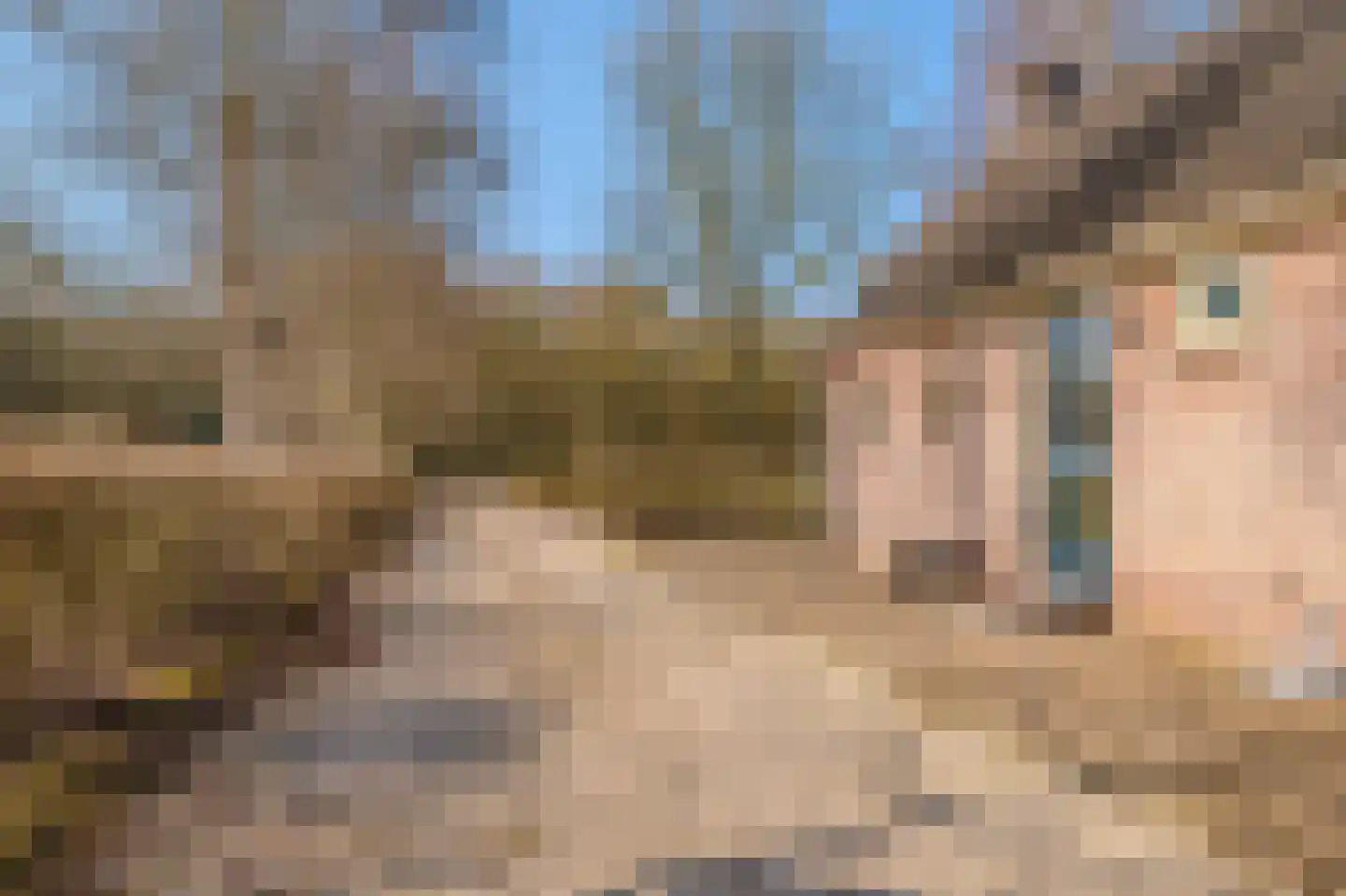 Pastorielaan 1 Vriescheloo thumbnail 51