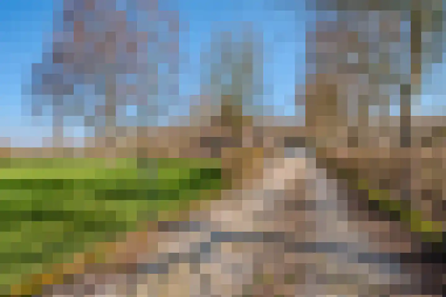 Pastorielaan 1 Vriescheloo thumbnail 52