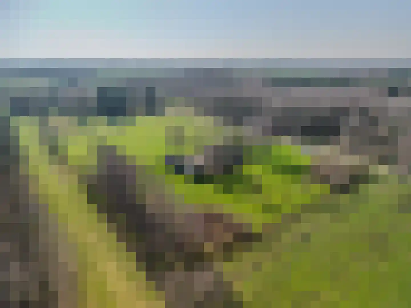 Pastorielaan 1 Vriescheloo thumbnail 55