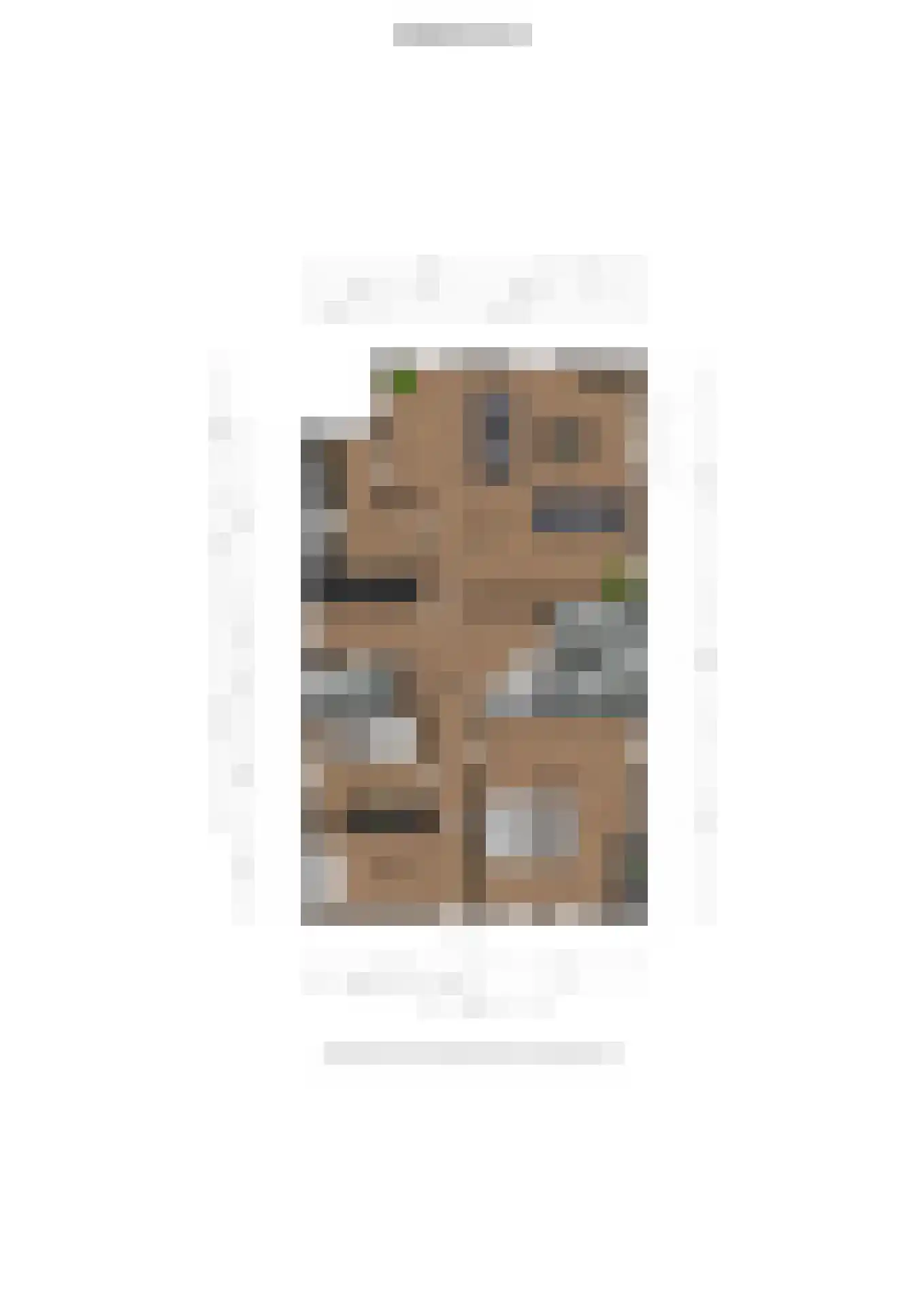 Pastorielaan 1 Vriescheloo thumbnail 61