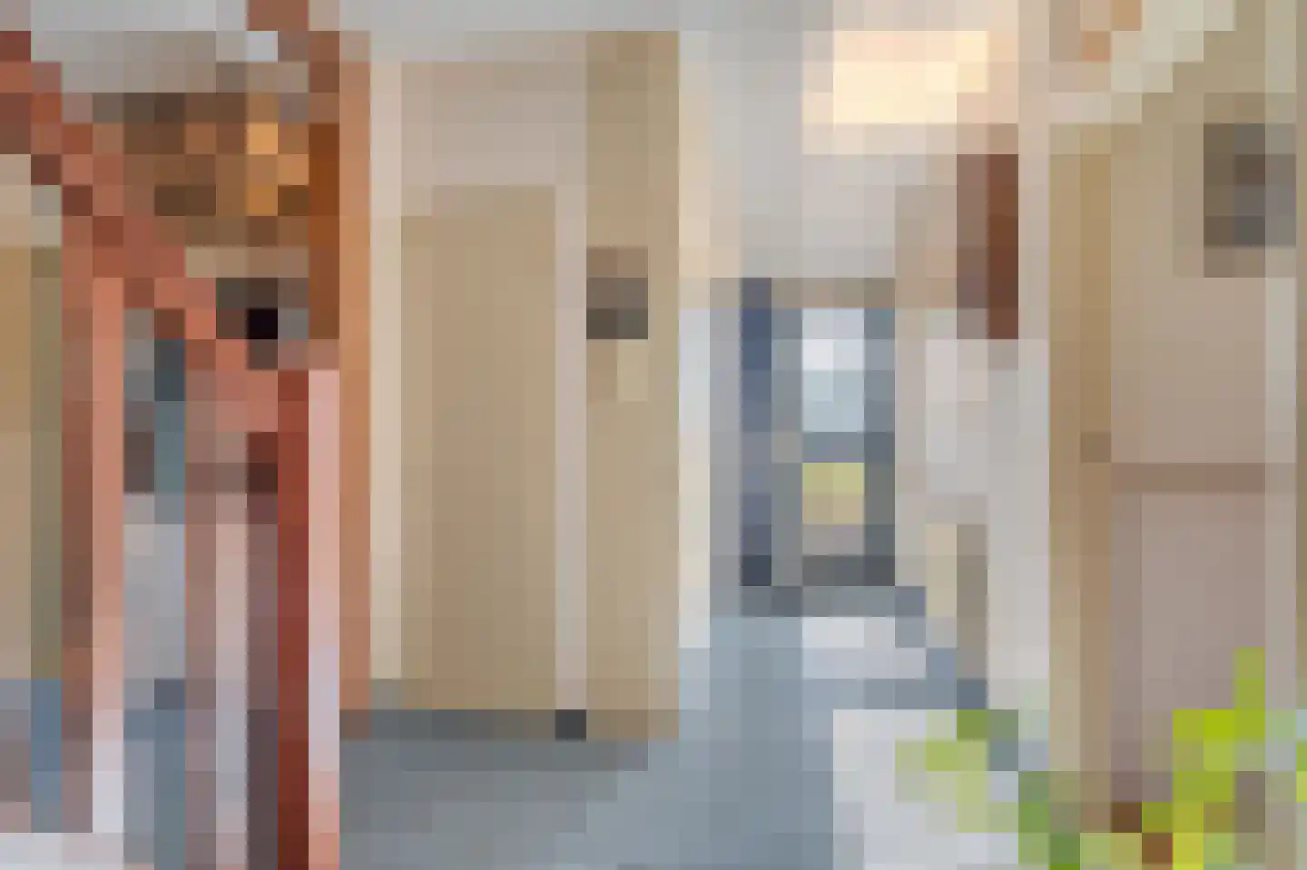 Pastorielaan 1 Vriescheloo thumbnail 7