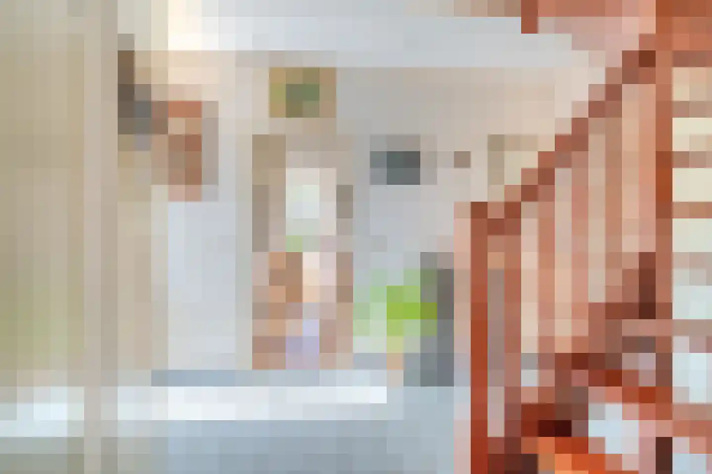 Pastorielaan 1 Vriescheloo thumbnail 8