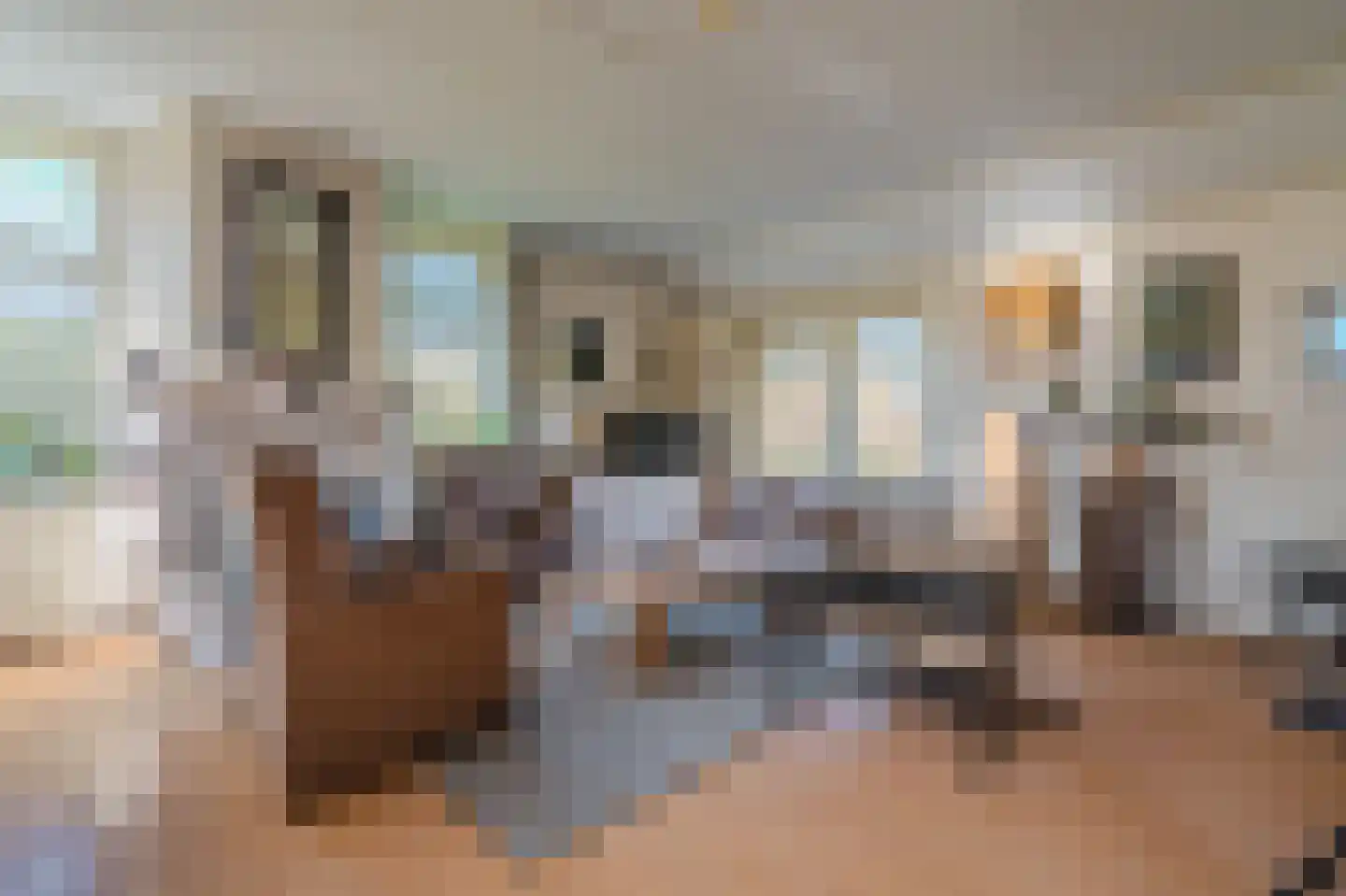 Pastorielaan 1 Vriescheloo thumbnail 9