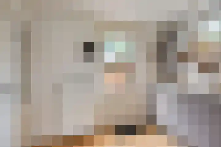 Pastorielaan 10 Epe thumbnail 13