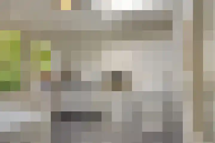 Pastorielaan 10 Epe thumbnail 15
