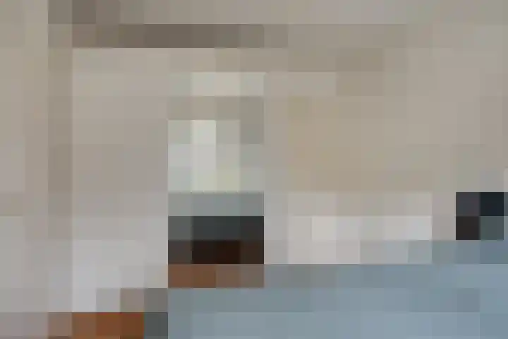 Pastorielaan 10 Epe thumbnail 20
