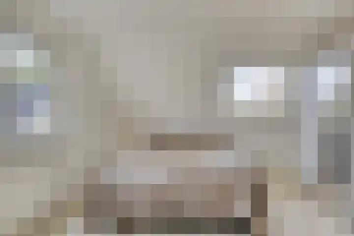 Pastorielaan 10 Epe thumbnail 28
